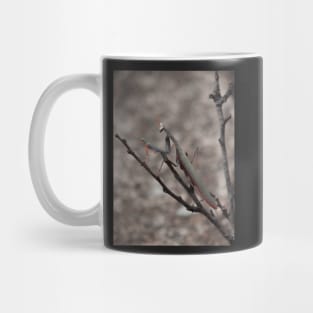 praying mantis Mug